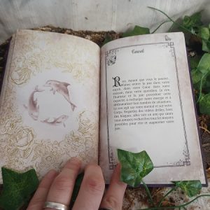 Photo de l'intérieur du livre