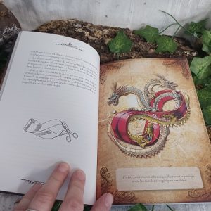 Magie des runes Photo de l'intérieur du livre